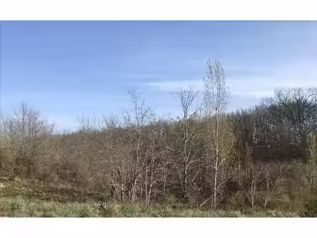 terrain à vendre