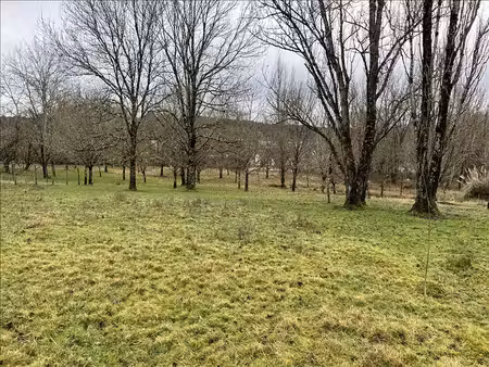 terrain à vendre