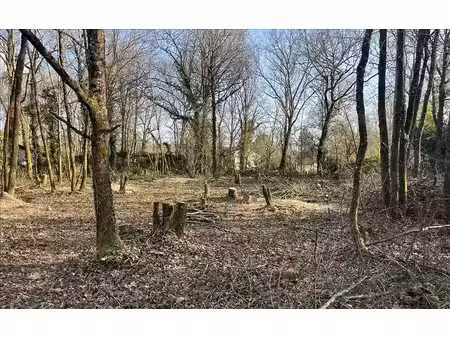 terrain à vendre