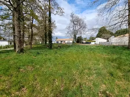 terrain à vendre