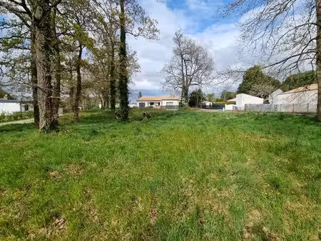 terrain à vendre