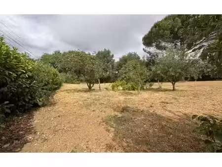 terrain à vendre
