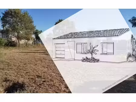 terrain