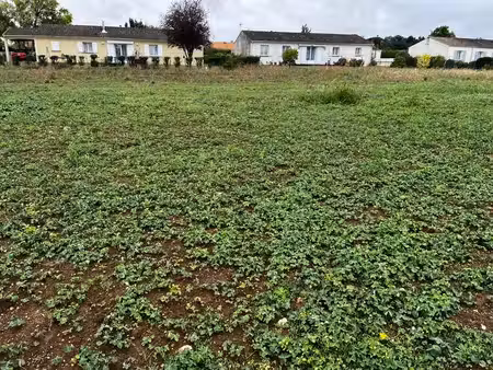 terrain à vendre