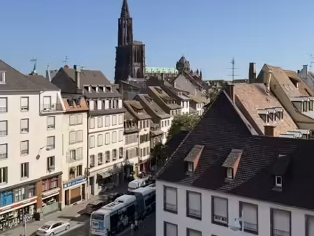 superbe 2 pièces lumineux avec vue imprenable sur la cathédrale de strasbourg - quartier b