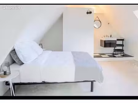 belle grande chambre meublée de 30 m2 au sol avec sa salle de douche privative à crespière