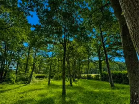 belle environnement