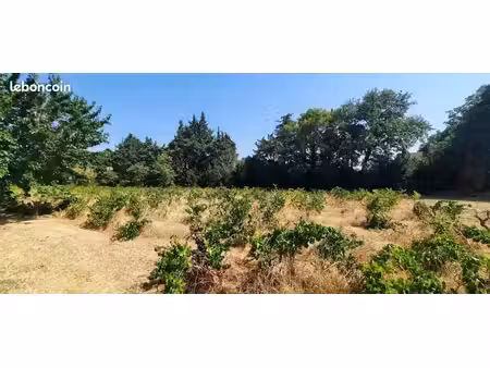 terrain à bâtir de 591 m² à sainte-cecile-les-vignes (84)