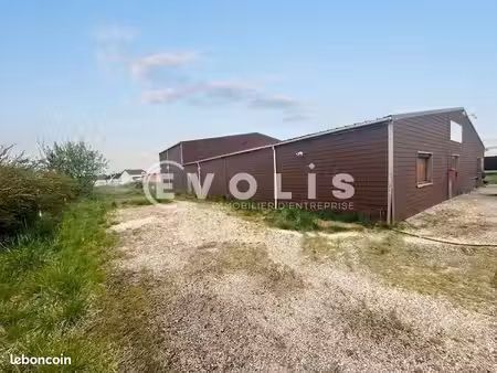 local d'activité 600 m²