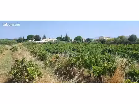 terrain à bâtir de 927 m² à mazan (84)