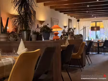 vente locaux professionnels 900 m² à saint-die-des-vosges (88100)  360 000 €
