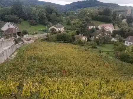 vente terrain 3014 m² arbois (39600)