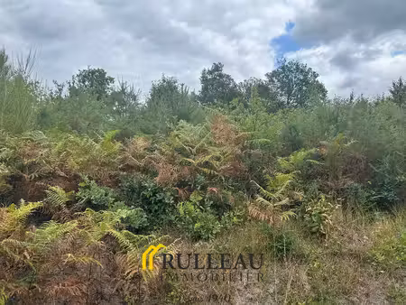 clerac: terrain à bâtir de 7000m2