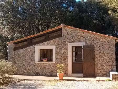 maison avec jardin