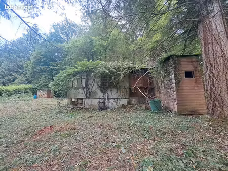 location terrain 15ares  commune d’andlau