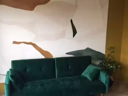 appartement meublé 30 m2 victor hugo