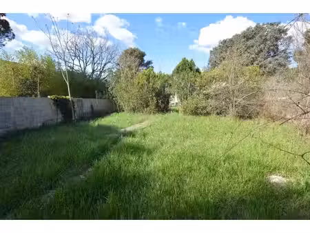 exclusivité à castelnau-le-lez : terrain prêt à bâtir de 496 m² dans un cadre résidentiel 