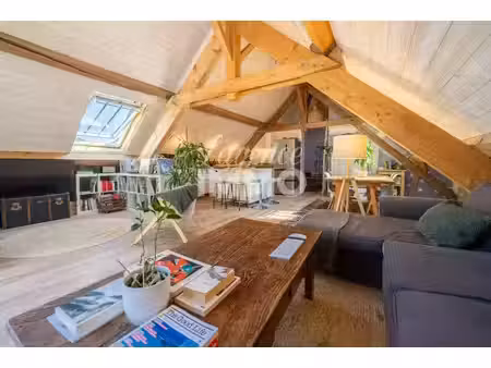 triplex à duingt avec vue lac et grand jardin