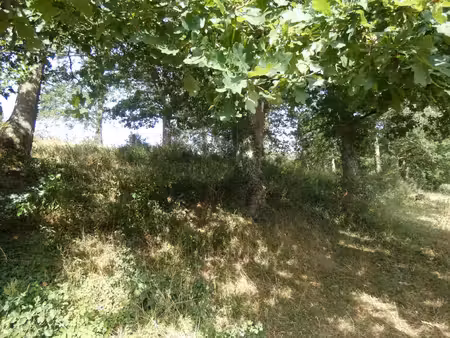 terrain à vendre proche de potigny (14) terrain de 4730 m² avec une bâtisse