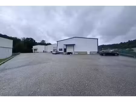 vente entrepôt vienne 38200 4498m² à 9832m²
