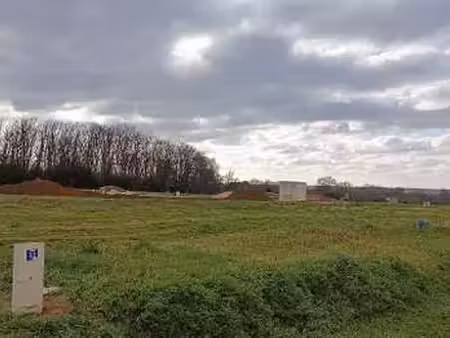 vente terrain à feneu (49460) : à vendre / 529m² feneu