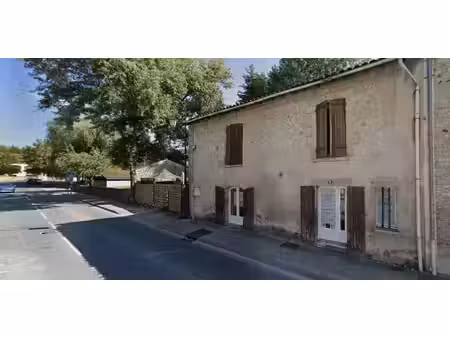 grande maison de village avec jardin et dépendance attenante pour activité annexe