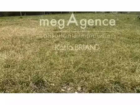 terrain constructible viabilisé à vendre