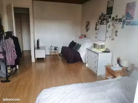 appartement f1