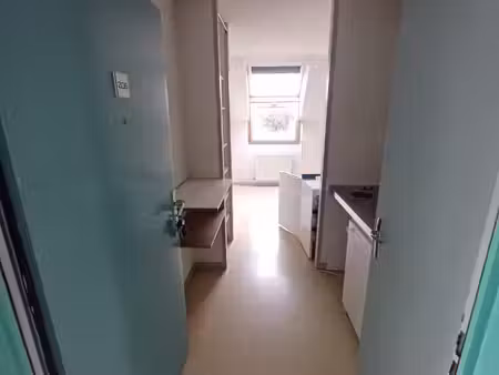 appartement 1 pièce 17 m²
