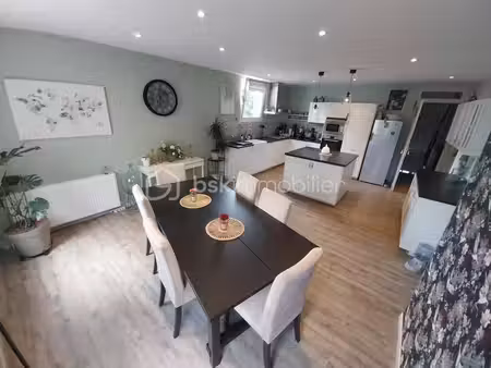grande maison avec dépendances + maison à rénover