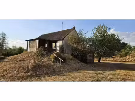 vente maison 4 pièces 80 m² rosnay (36300)