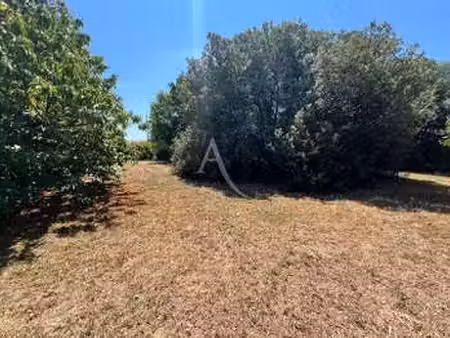 vente terrain à longeville-sur-mer (85560) : à vendre / 457m² longeville-sur-mer