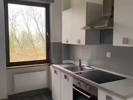 location appartement 2 pièces 59 m² à strasbourg (67000)  700 €