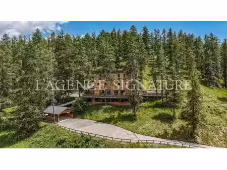 vente maison 7 pièces 350 m² péone (06470)