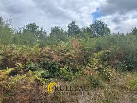 clerac: terrain à bâtir de 7000m2