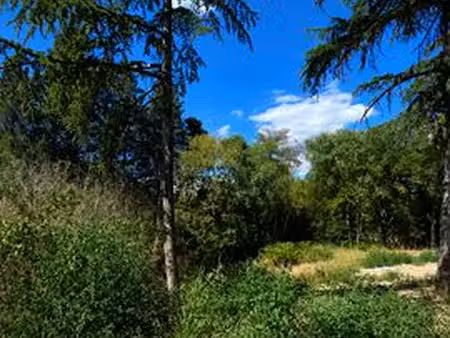 terrain de 1200 m2 - castelnau-le-lez  occitanie