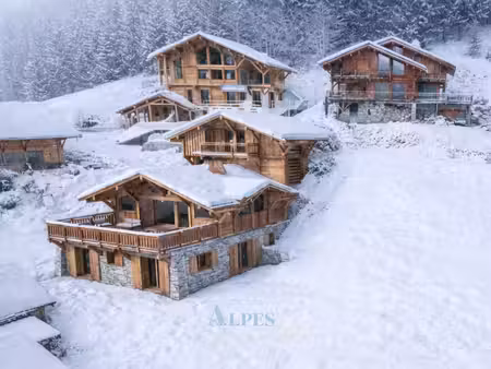 achat maison 9 pièces 267m² chatel 74390
