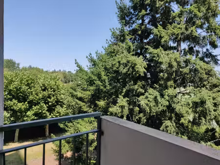 location appartement 1 pièce 26m² riorges 42153