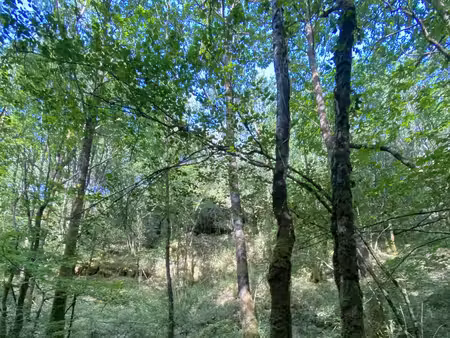 achat terrain 16 625m² quistinic 56310