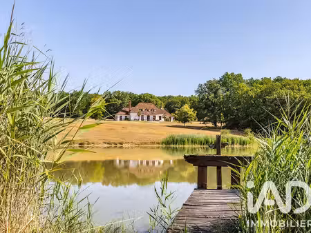 domaine à la ferte-saint-cyr (41220)