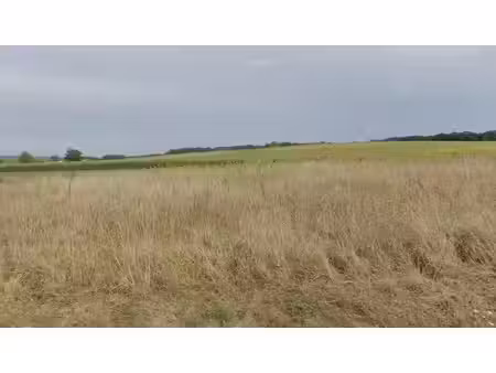 vente terrain 1000 m² à saint-agne (24520)  21 600 €
