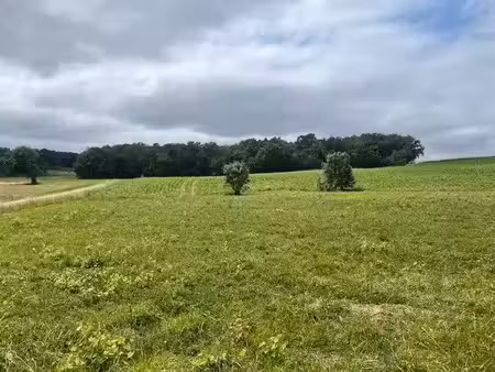 vente terrain 1109 m² à saint-capraise-d'eymet (24500)  14 417 €