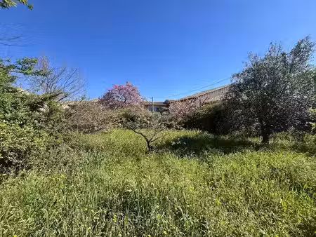 vente terrain 257 m² à trausse (11160)  32 000 €