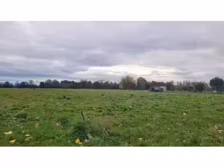 terrain constructible
