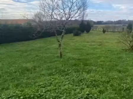 vente terrain 4750 m² à saint-yzan-de-soudiac (33920)  45 000 €