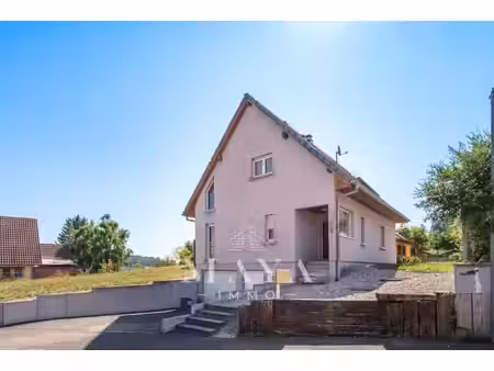 achat immeuble 120m² waldighofen 68640