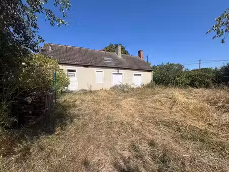 vente maison 2 pièces 60 m² thaumiers (18210)