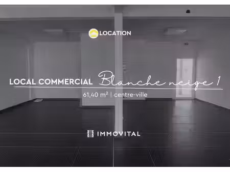 location local professionnel 61m² y 80190