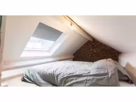 maison en colocation à rue du berceau bruxelles (vbe55909)