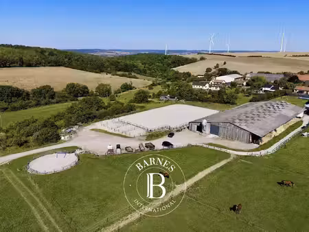 exclusivité - moselle/momerstroff – propriété équestre de plus de 5 hectares avec maison..